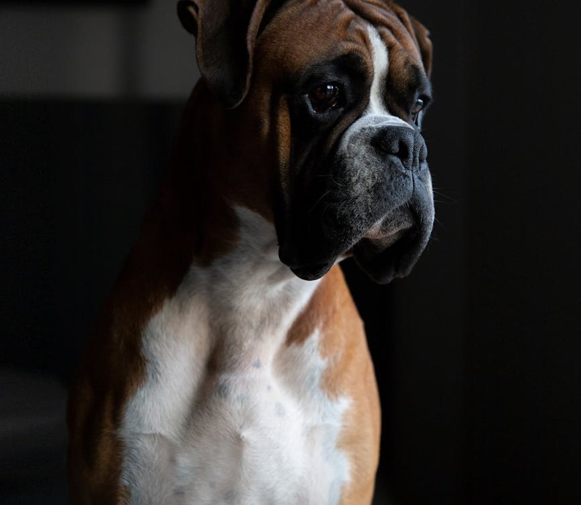 Креативні ідеї упаковки бісерних виробів Ідеї упаковки бісерних виробів