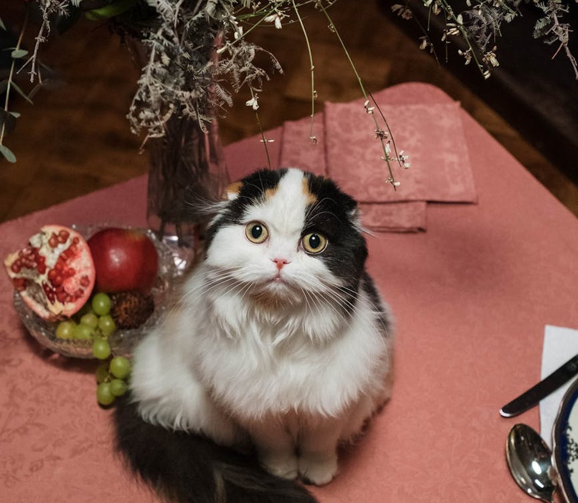 Як персоналізувати бісерні вироби Персоналізація бісерних прикрас