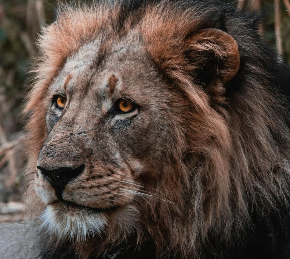 Вибір екологічного бісеру для ваших проектів Екологічні матеріали для бісероплетіння