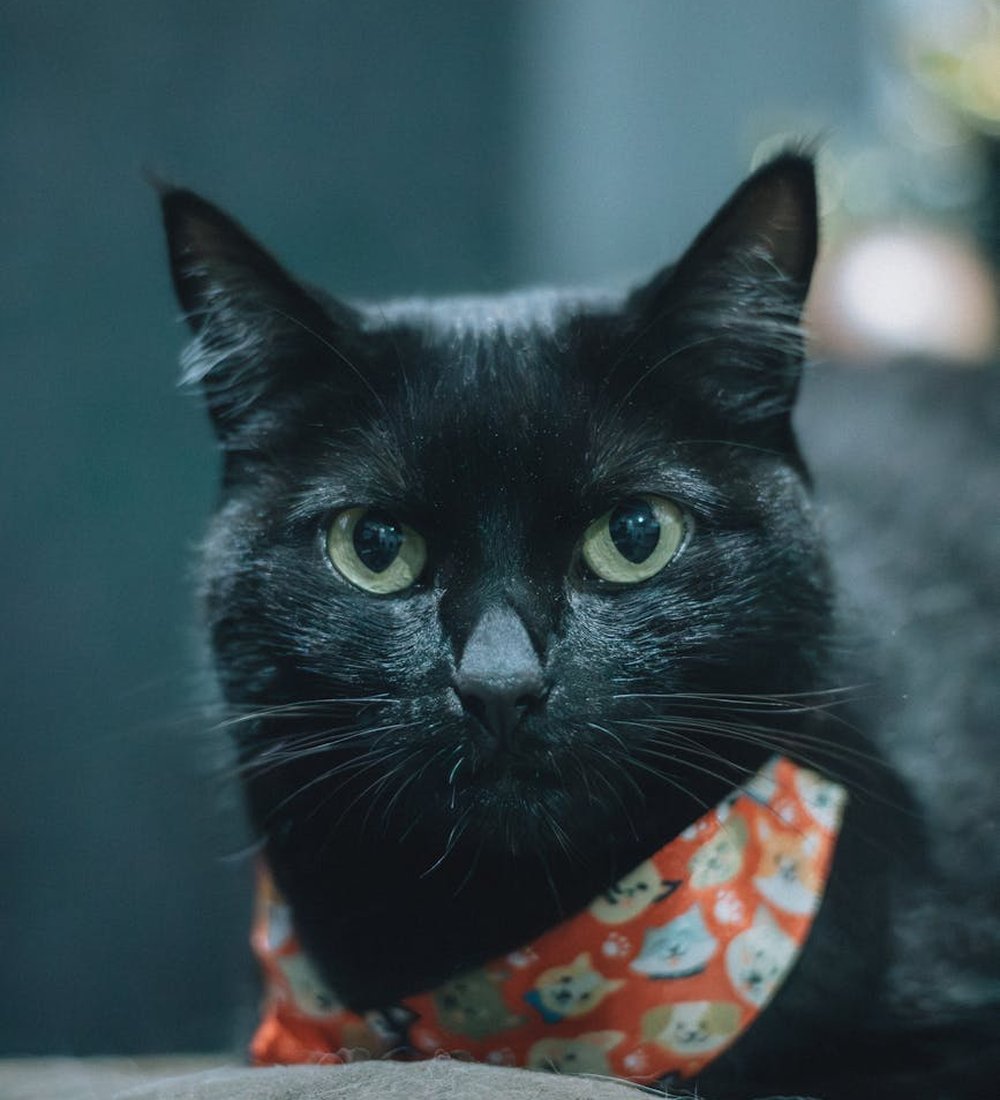 Створення кольє з золотого бісеру: покрокова інструкція Майстер-клас по створенню кольє з золотого бісеру