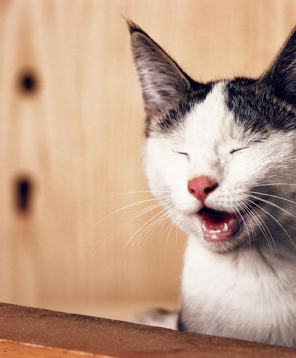 Список базових матеріалів для роботи з бісером Матеріали для рукоділля з бісером