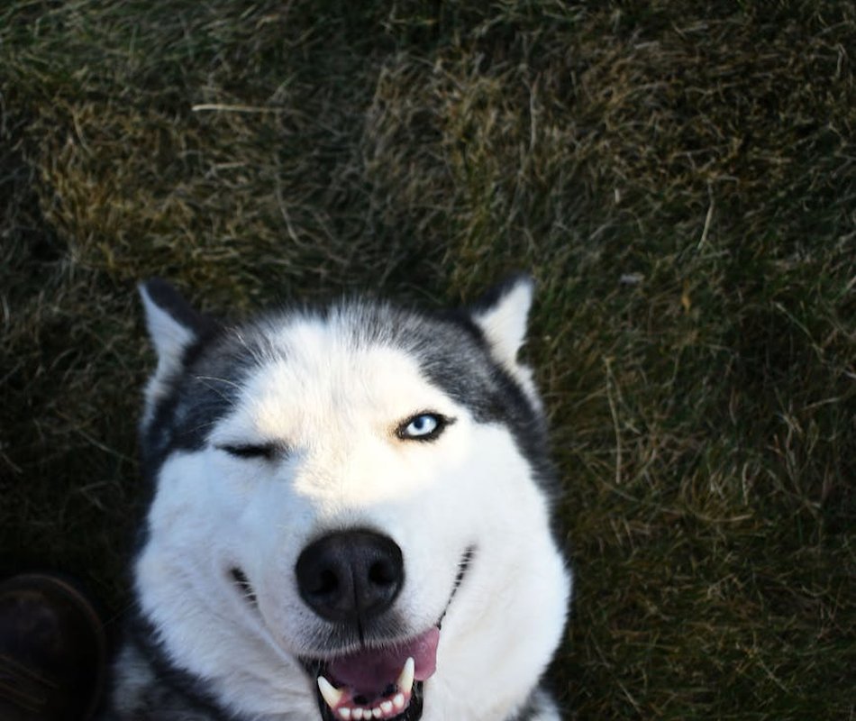Як вибрати бісер для прикрас: поради по кольорам і матеріалам Вибір бісеру для прикрас