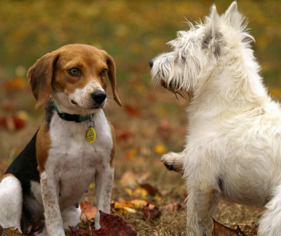 Як організувати упаковку для бісерних виробів: ідеї для подарунків Естетична упаковка для бісерних виробів