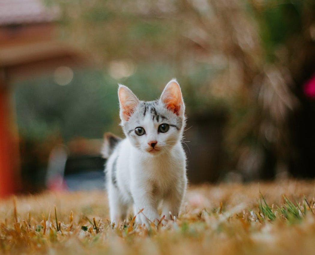 Ідеї подарункових наборів з бісеру на Новий рік Подарунковий набір з бісеру
