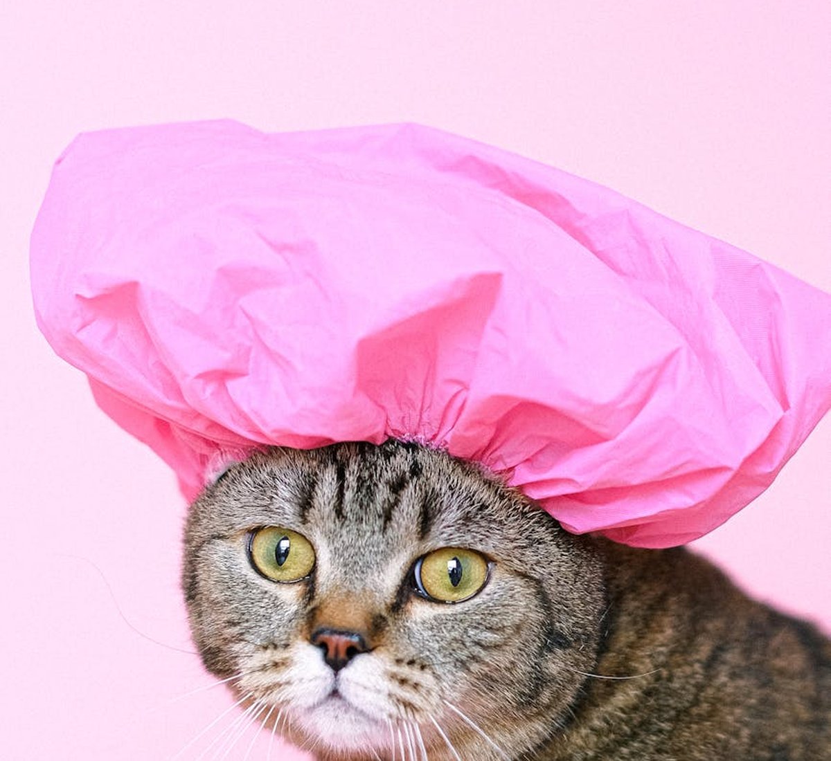 Основи технік бісероплетіння для новачків і досвідчених майстрів Техніки бісероплетіння для прикрас