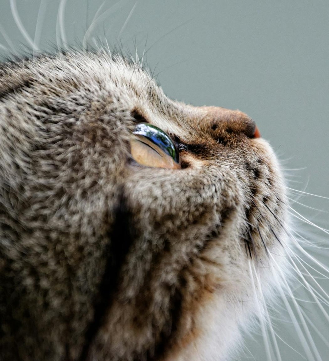 Як освоїти техніку фріволіте з бісеру: покроковий майстер-клас Прикраси фріволіте з бісеру