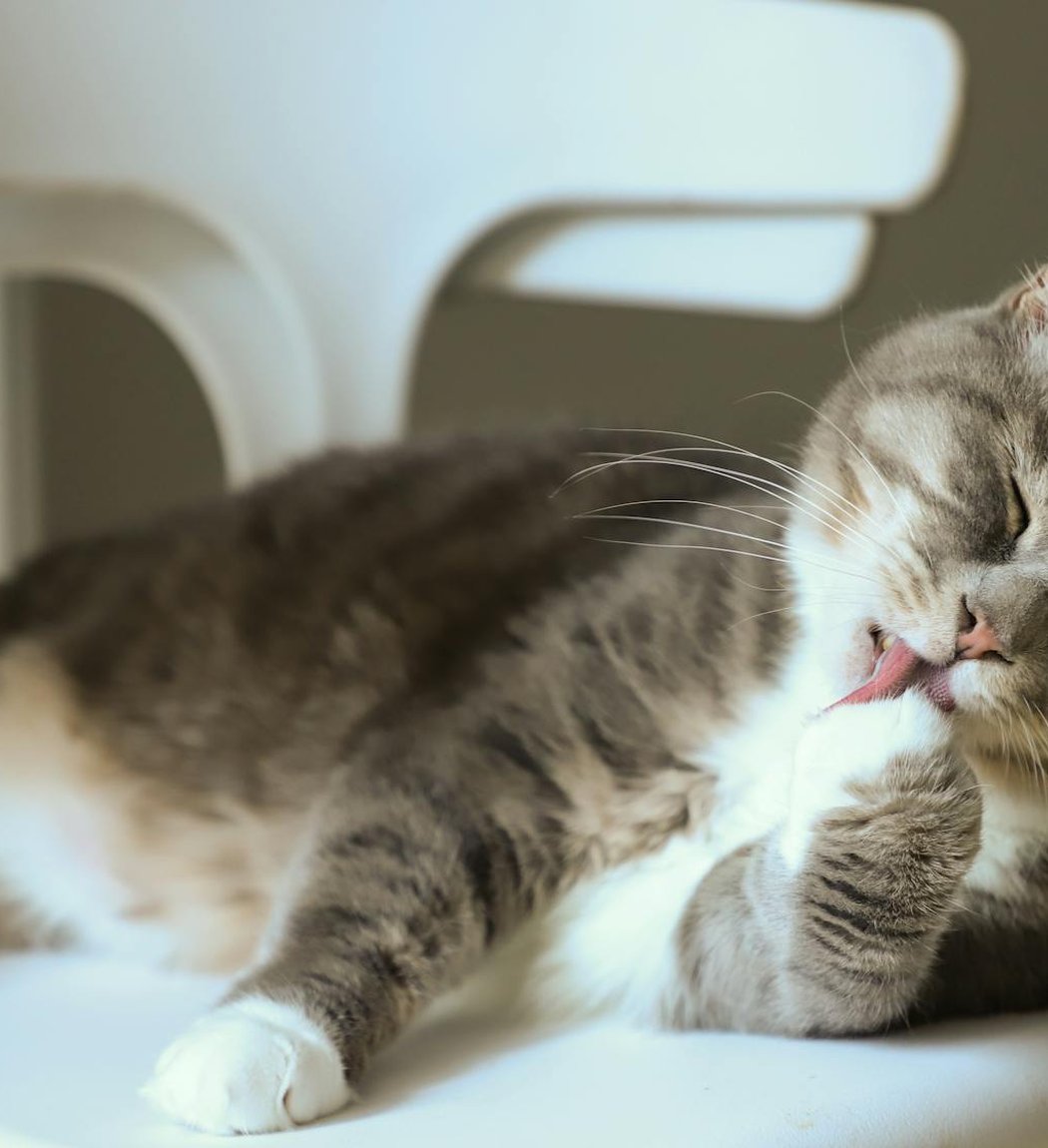 Ідеї святкових бісерних прикрас: кроки до створення унікальних виробів Святкові бісерні прикраси ручної роботи