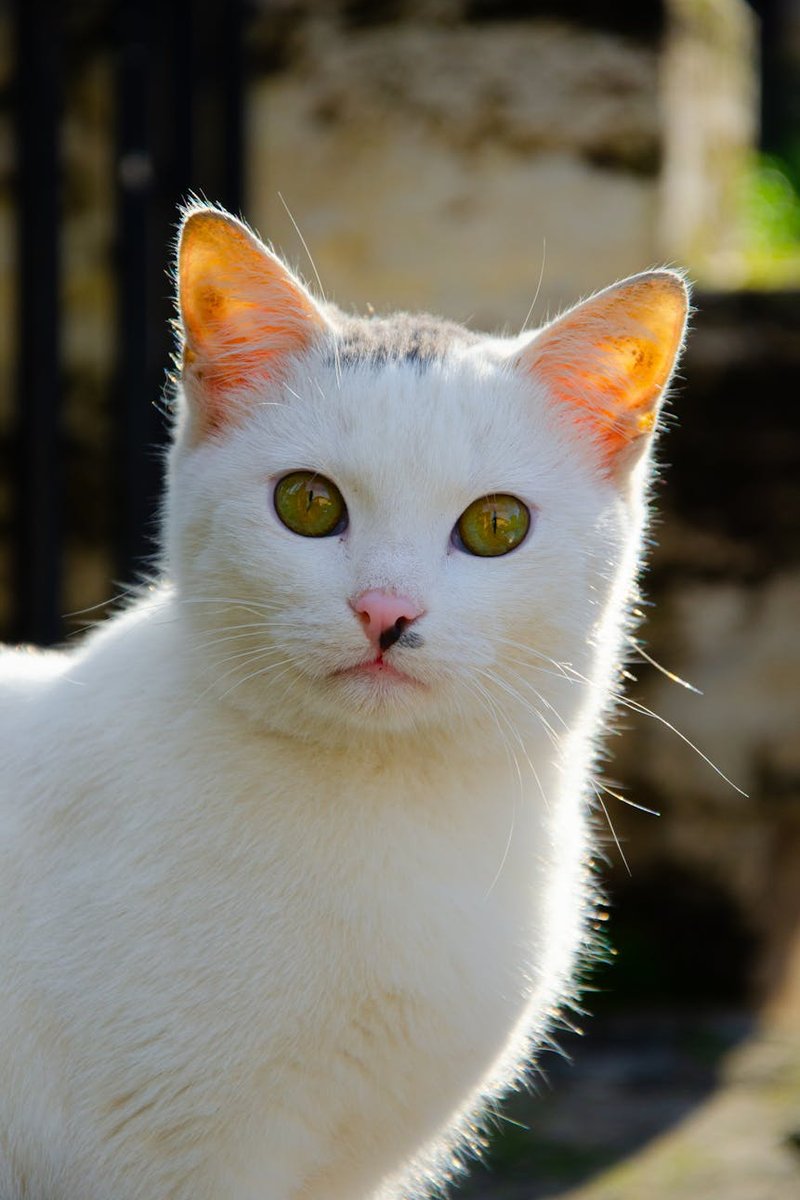 Швидке сортування бісеру — лайфхаки для майстрів Процес швидкого сортування бісеру по контейнерах на світлій підкладці