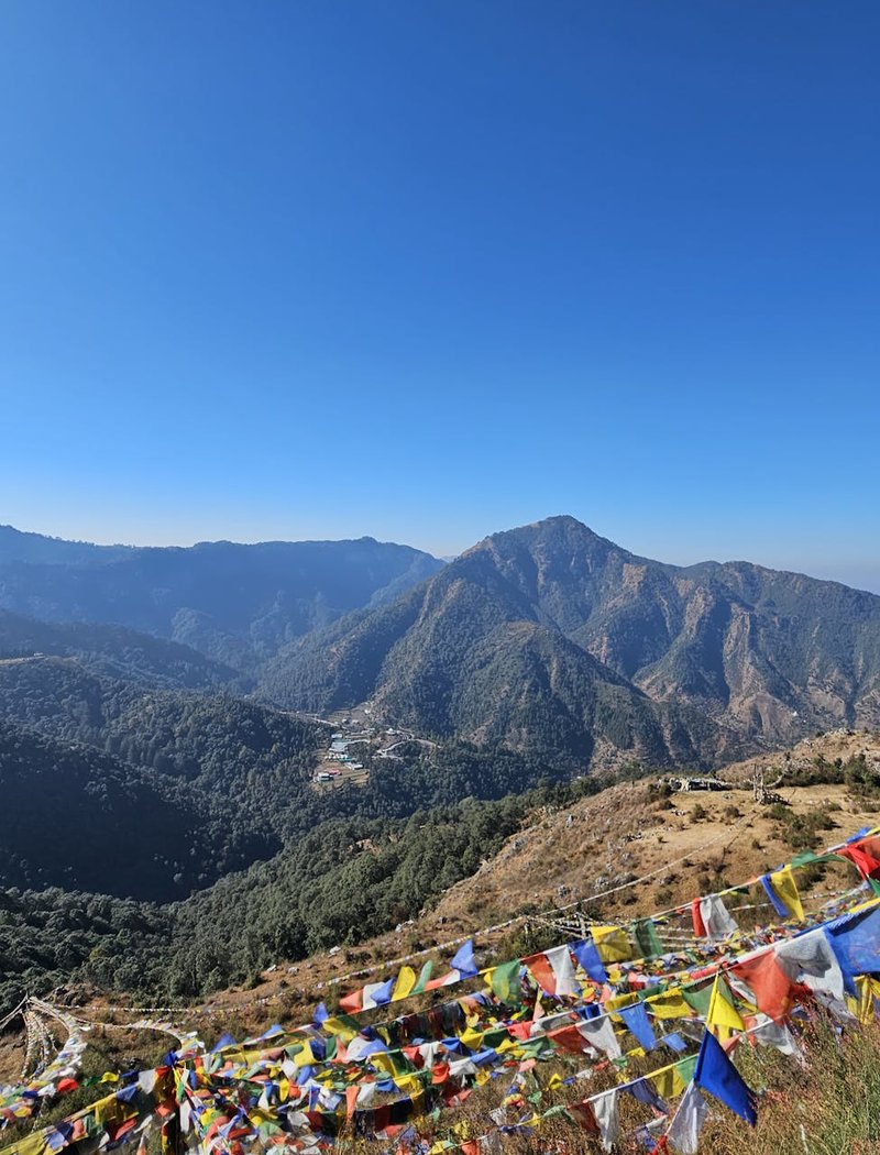 Купити Preciosa в Україні — поради щодо вибору Пакетики Preciosa на робочому столі з етикетками — приклад оригінального чеського бісеру для покупки в Україні