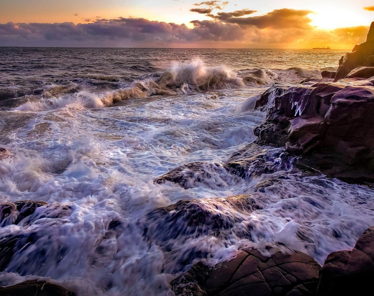 Порівняння чеського і японського бісеру — відмінності і застосування Порівняльні зразки чеського і японського бісеру на білому фоні для демонстрації різниці