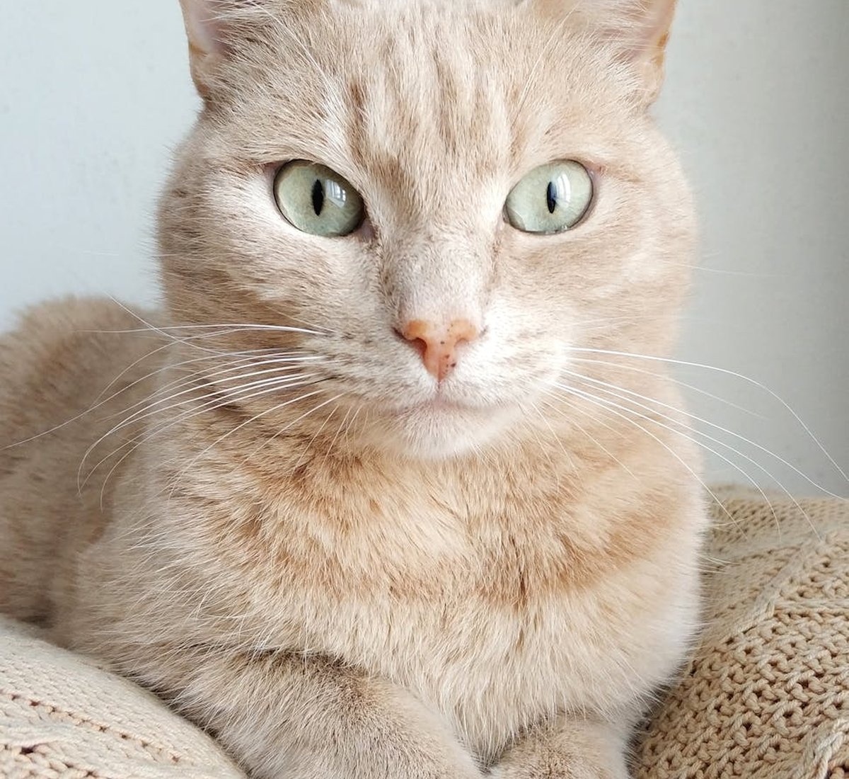 Кулон з бісеру і камінням — майстер‑клас для початківців Кулон з бісеру й невеликим камінцем у процесі виготовлення — деталі і інструменти