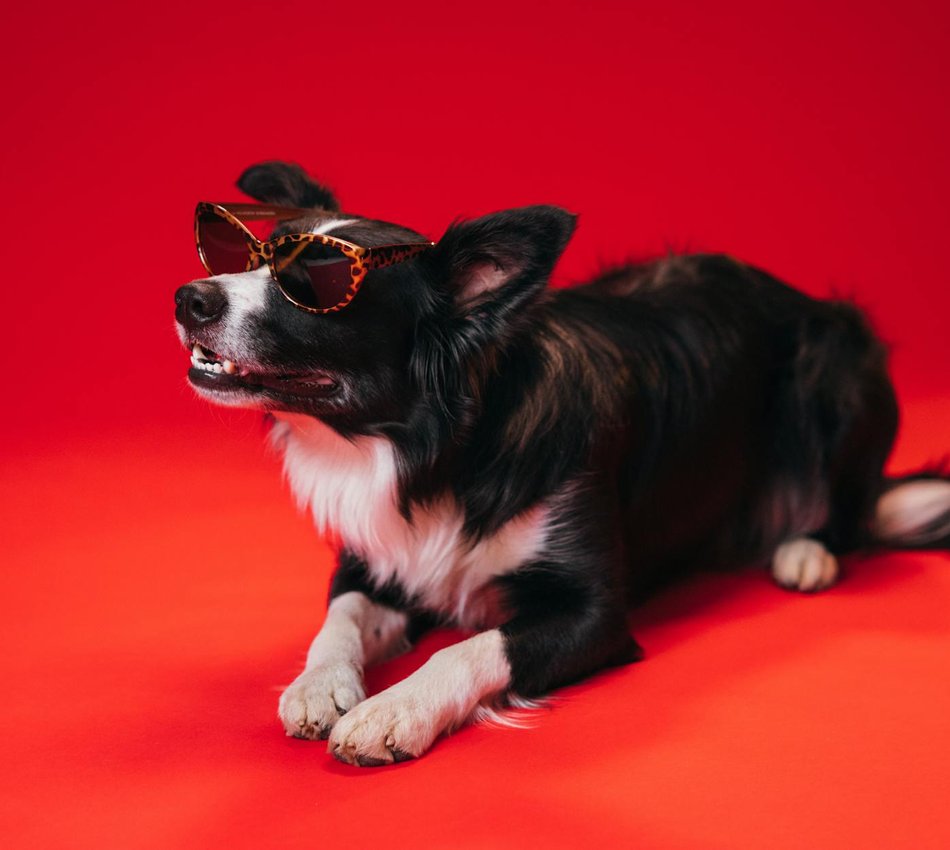 Брелок з бісеру — швидка схема для подарунка Міні‑брелок з бісеру на карабіні поруч з короткою інструкцією для швидкої роботи