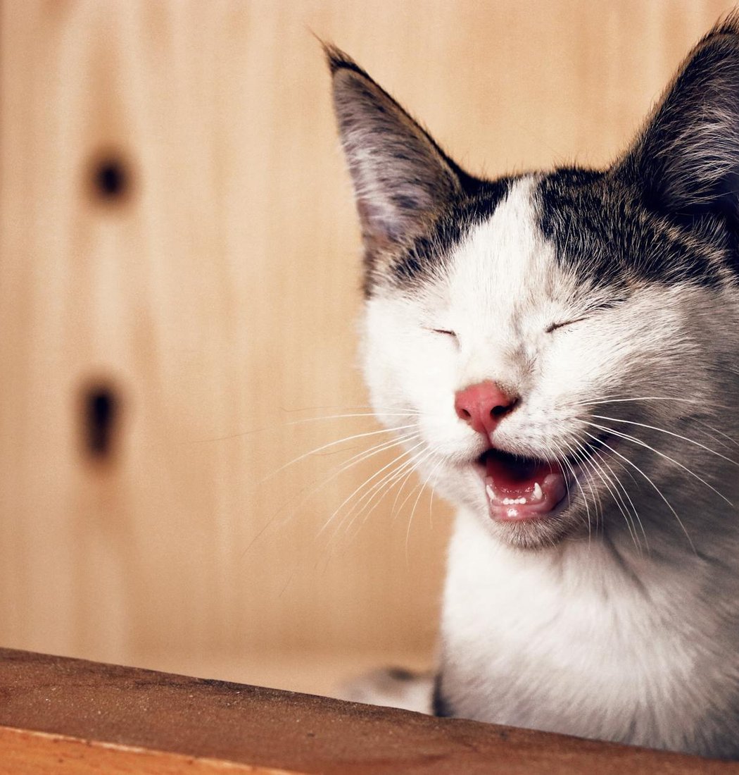 Пробники бісеру купити — чому варто тестувати партії перед закупівлею Невеликі пробники бісеру в прозорих пакетиках з підписаними кодами кольорів