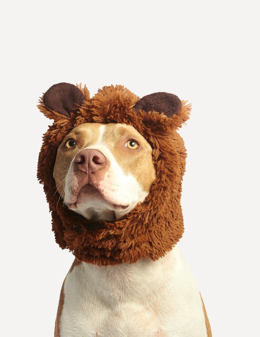 Delica бісер купити — вибір для ніжних прикрас Пакетики Delica бісеру різних пастельних відтінків розкладені для вибору кольорів