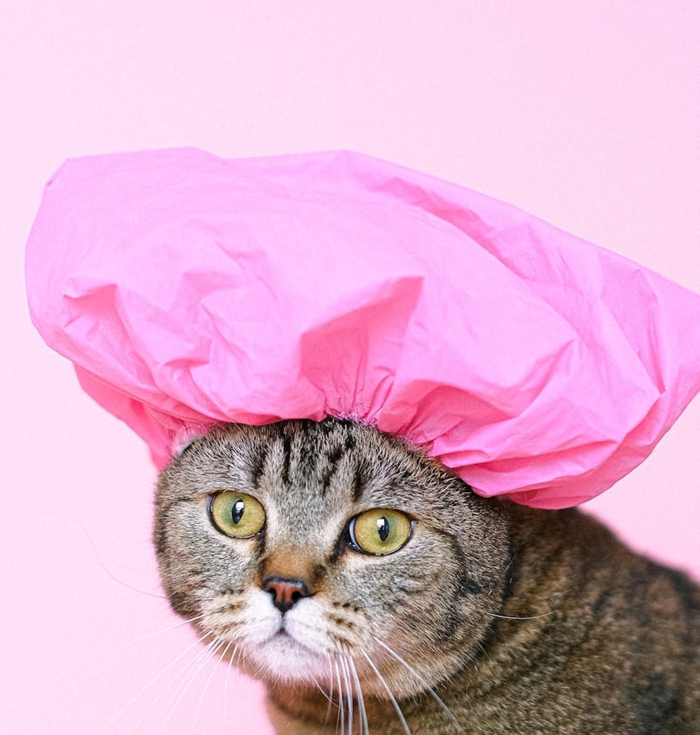 Сережки з дерев'яними дисками і бісером — інструкція та поради Сережки з дерев'яними дисками, обшиті пастельним бісером, на білій підкладці