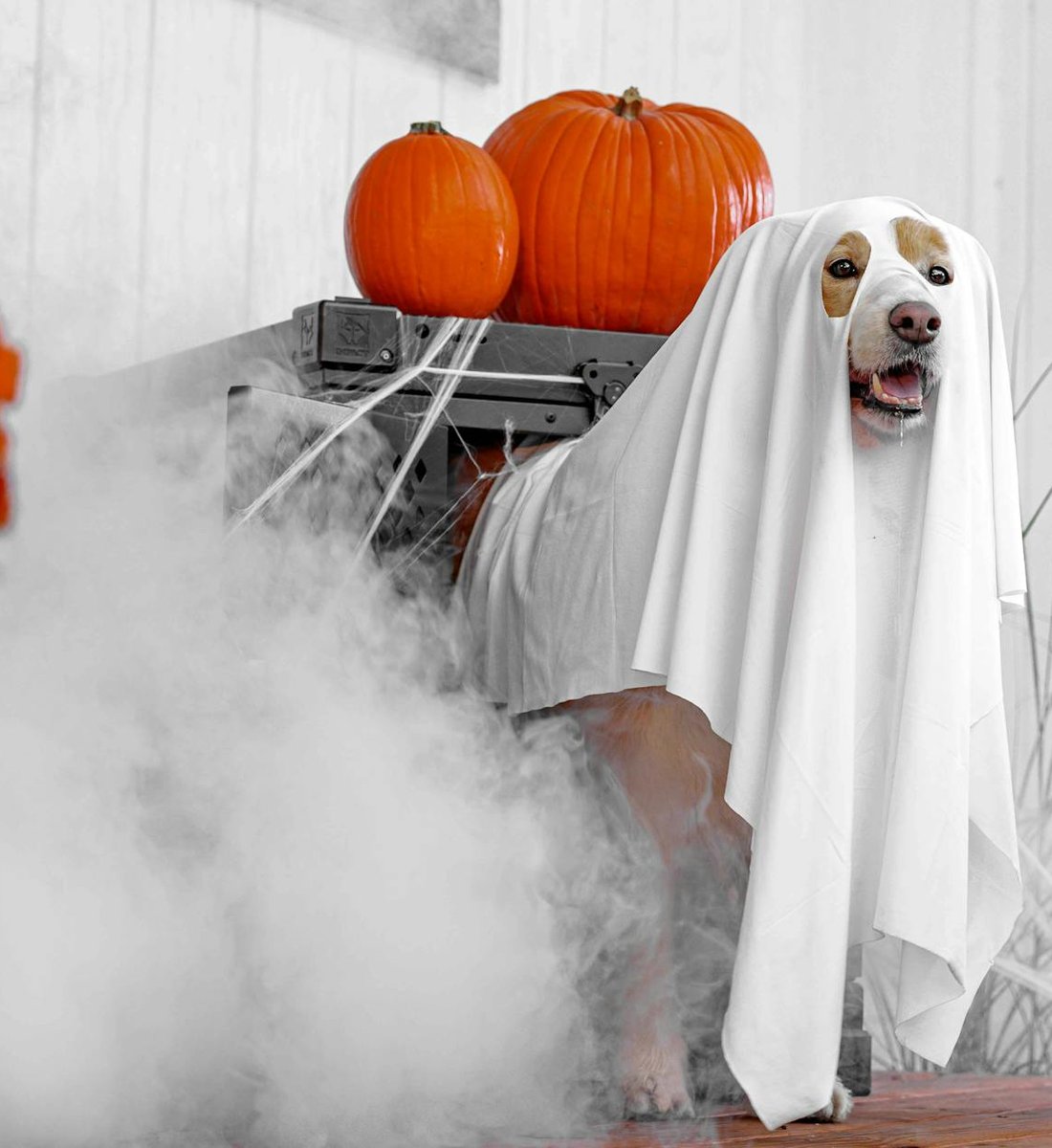 Мононитка 0.15 купити — вибір нитки для бісероплетіння Шпуля мононитки 0.15 мм поруч із голкою для бісеру та пакетом Delica на робочому столі