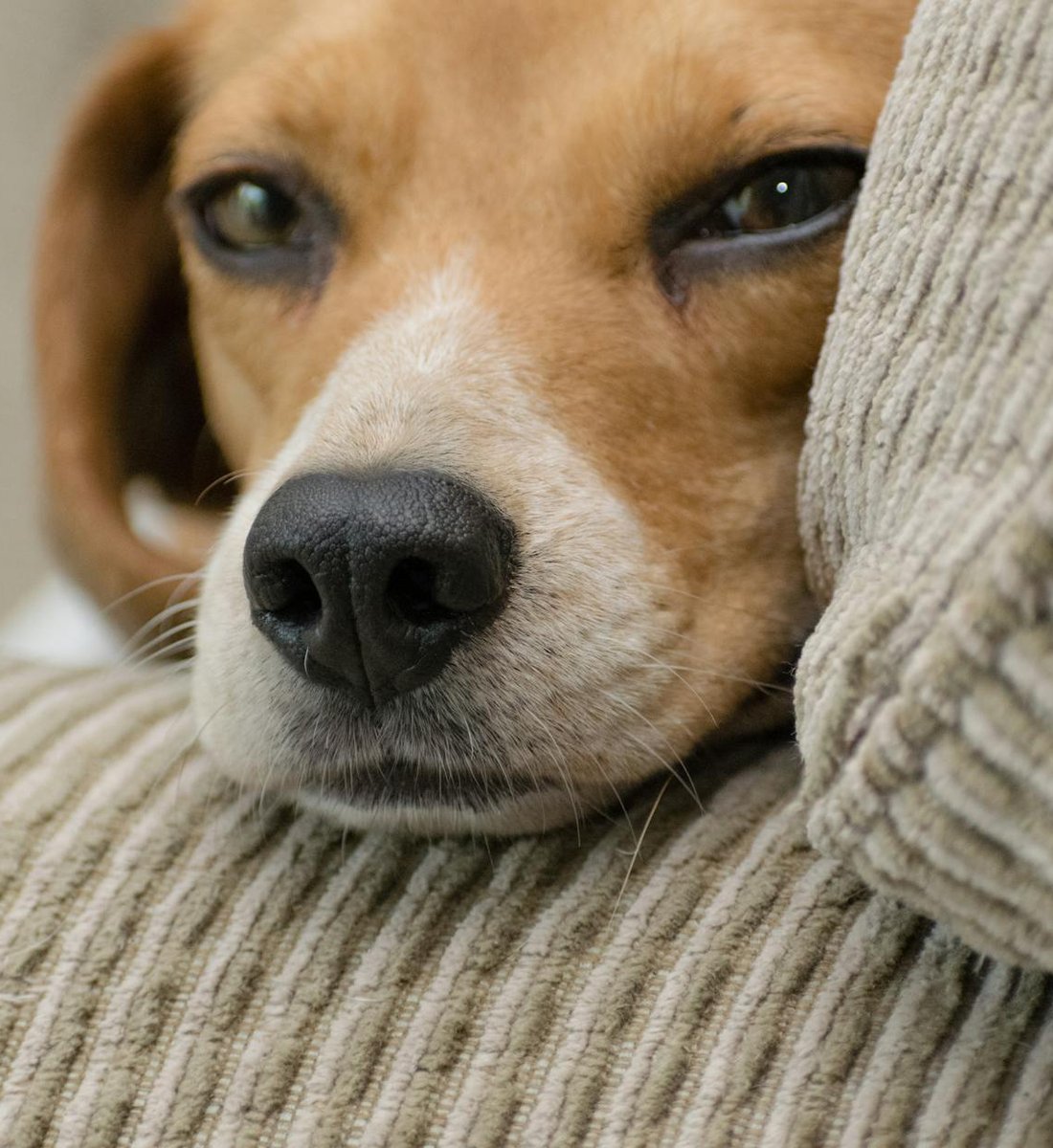 Схема кольє‑комірець з бісеру — покрокова інструкція для початківців Паперова схема кольє‑комірця та частково готове намисто на манекені для демонстрації