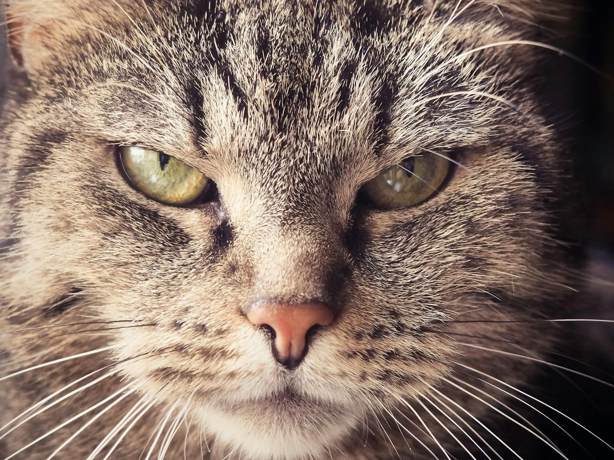 Ідеї декору каблучок з бісеру Декорування каблучок з бісеру