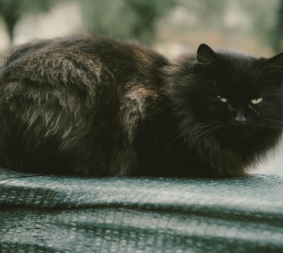 Як створити мудборд для нових колекцій прикрас Мудборд для колекцій персоналізованих прикрас