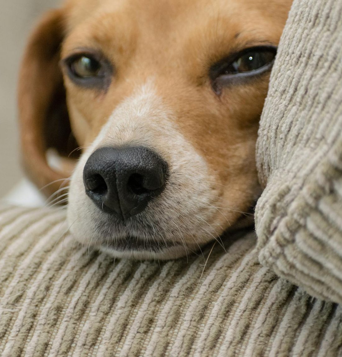 Помилки при виготовленні прикрас з бісеру та як їх уникнути Типові помилки при виготовленні бісерних прикрас