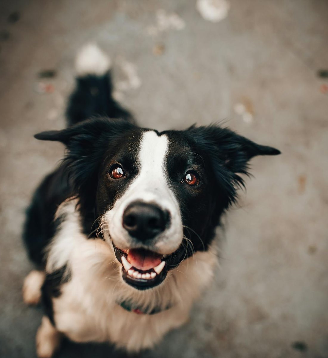 Бісер Preciosa Ornela: чому він ідеальний для дитячих прикрас Бісер Preciosa Ornela для виробництва прикрас