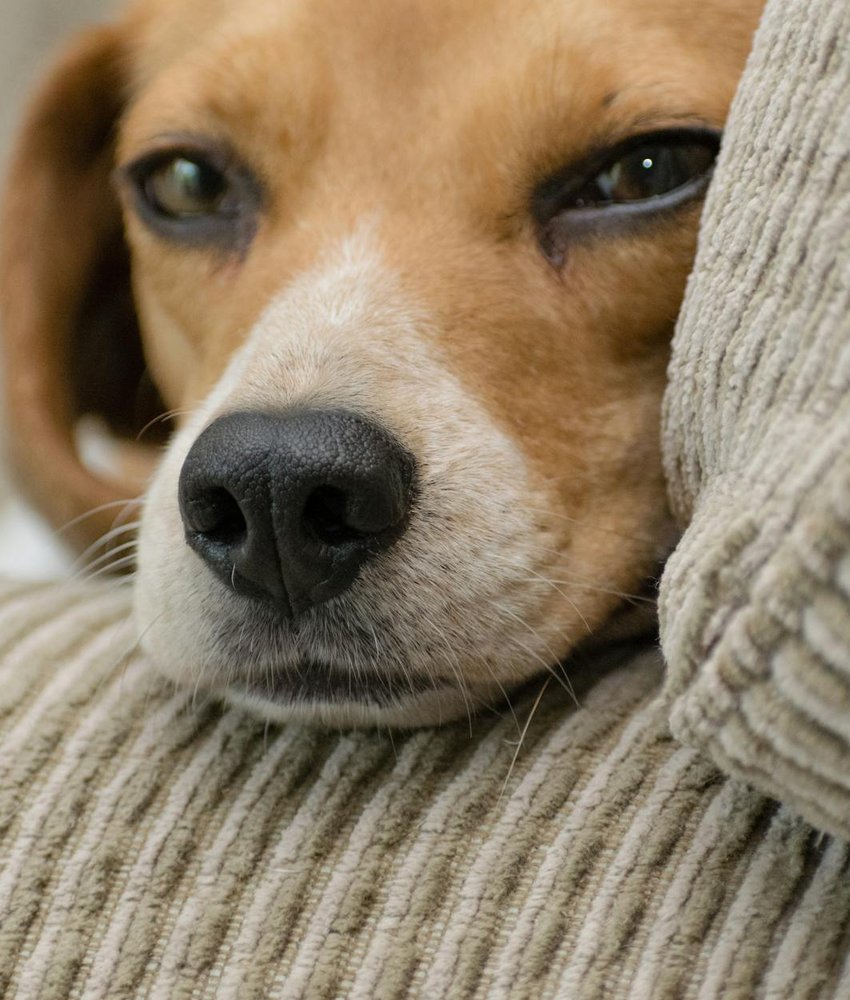 Оригінальні сувеніри для гостей весілля - бісерні фігурки та медальйони Сувеніри з бісеру для весільних гостей