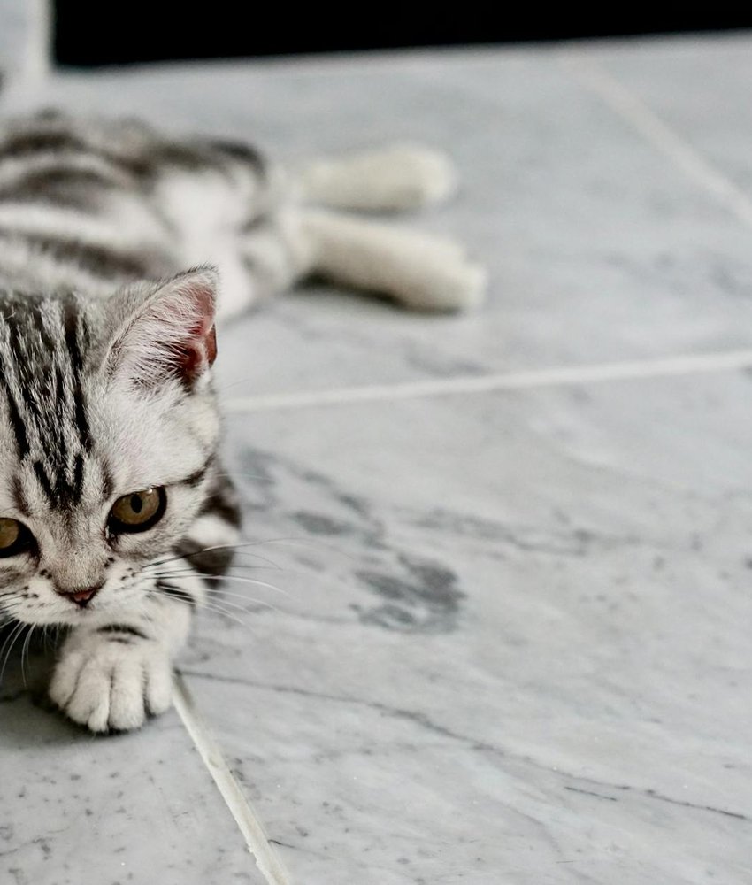 Як створити браслети на резинці для акційних пропозицій Браслет на резинці як подарунок на акцію