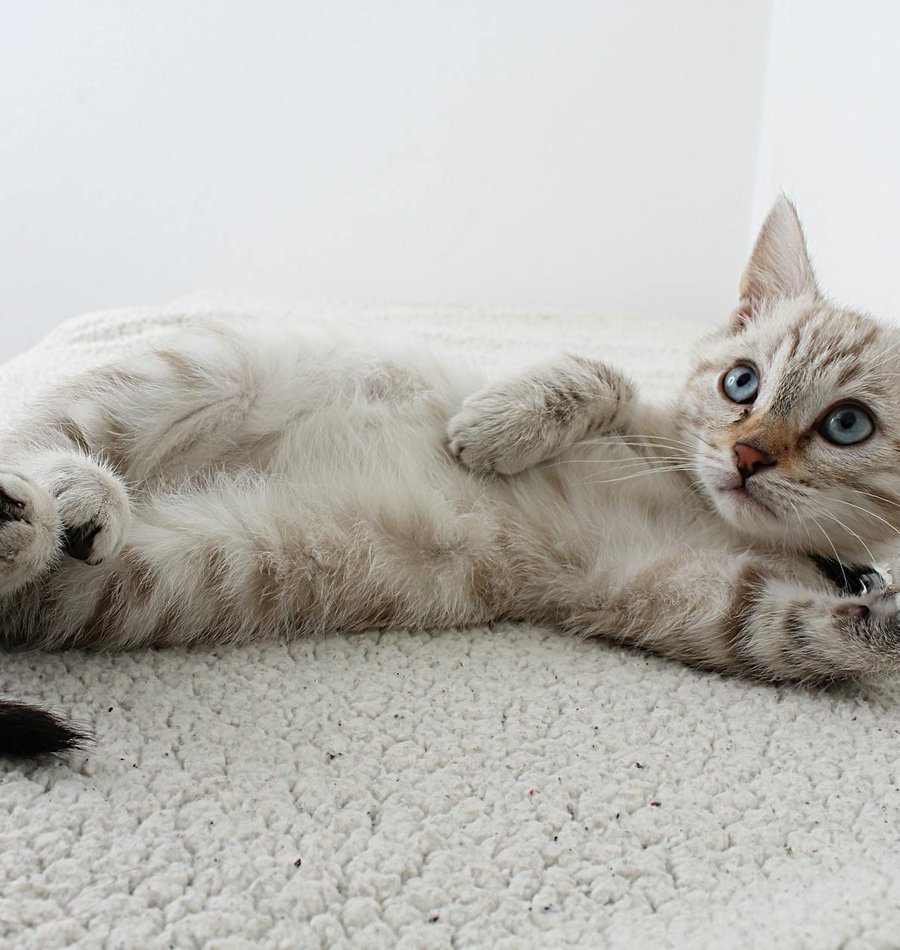 Ідеї простих проектів з бісером Прості проєкти з бісером для дітей