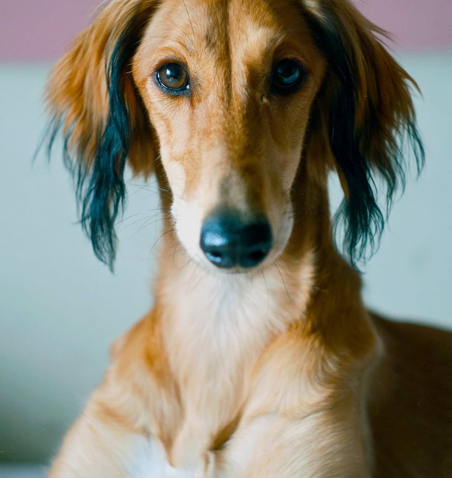 Поради по вибору бісеру для дітей Як вибрати бісер для дитячих занять